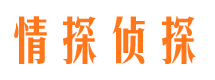 迎泽市侦探调查公司